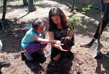 colegio-plantamosMINI