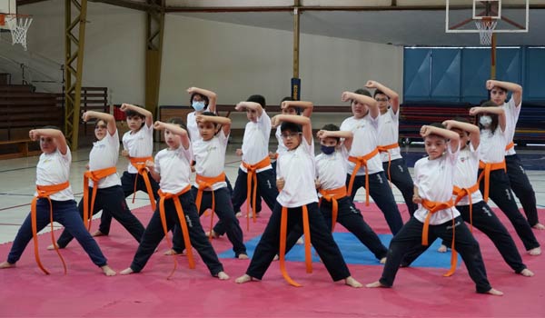 colegio-TAEKWONDO