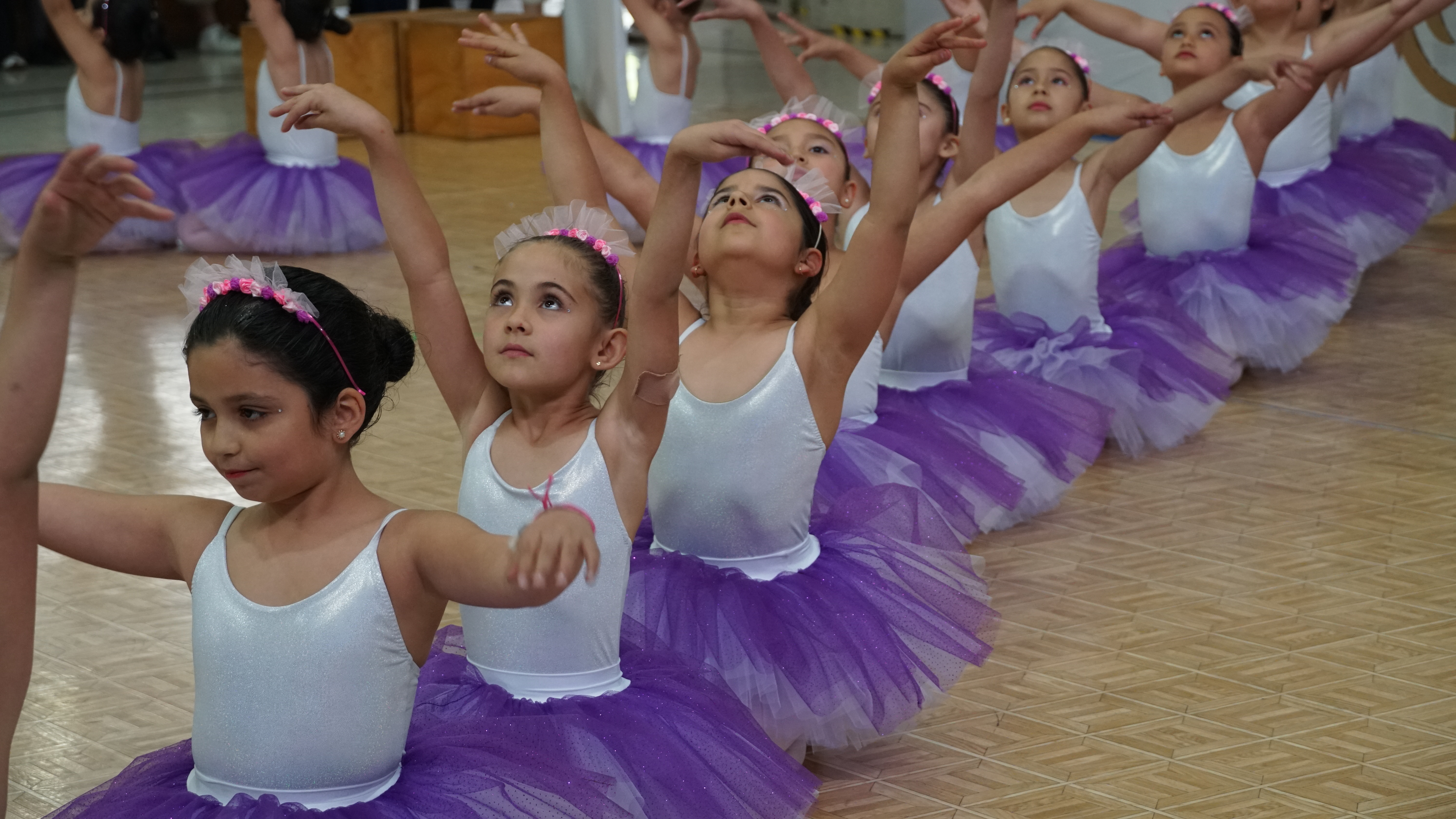 GALA DANZA Y BALLET 2024