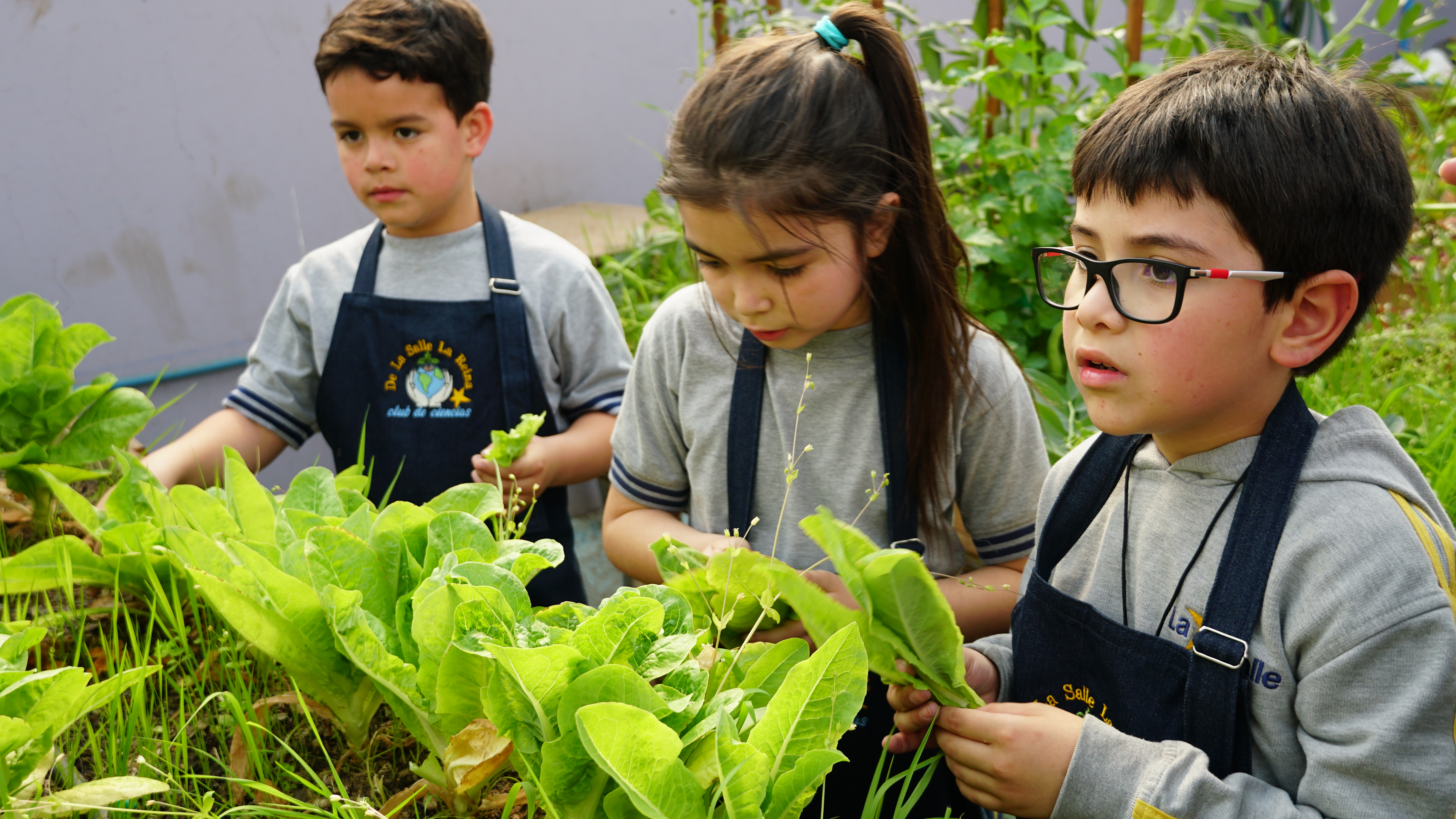 COSECHA SUSTENTABLE DEL TALLER CLUB DE CIENCIAS