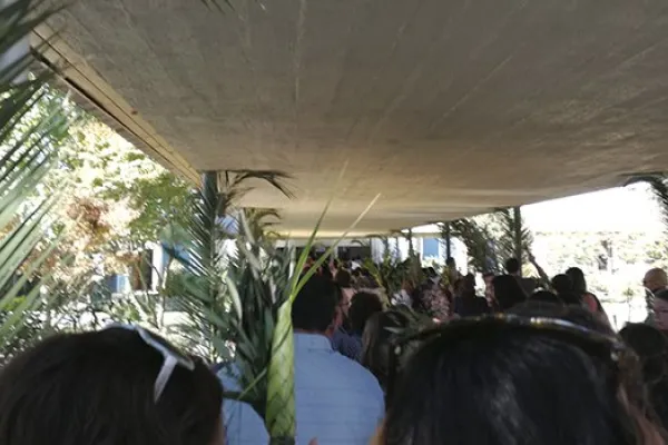 Domingo de Ramos