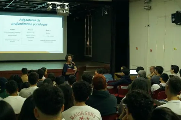 ASIGNATURAS DE PROFUNDIZACIÓN IV° MEDIO 2023