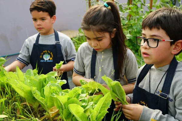 COSECHA SUSTENTABLE DEL TALLER CLUB DE CIENCIAS